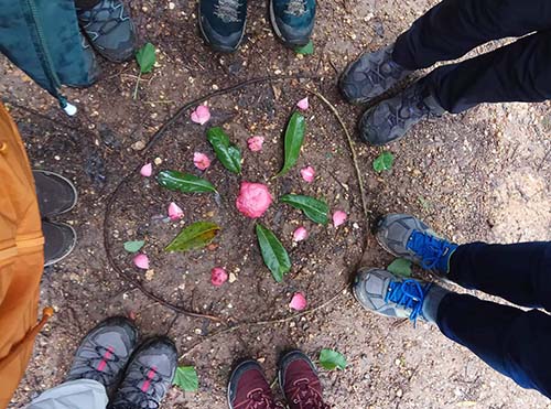 Sessões de Psicoterapia na Natureza em Grupo - Eugénia Amaro