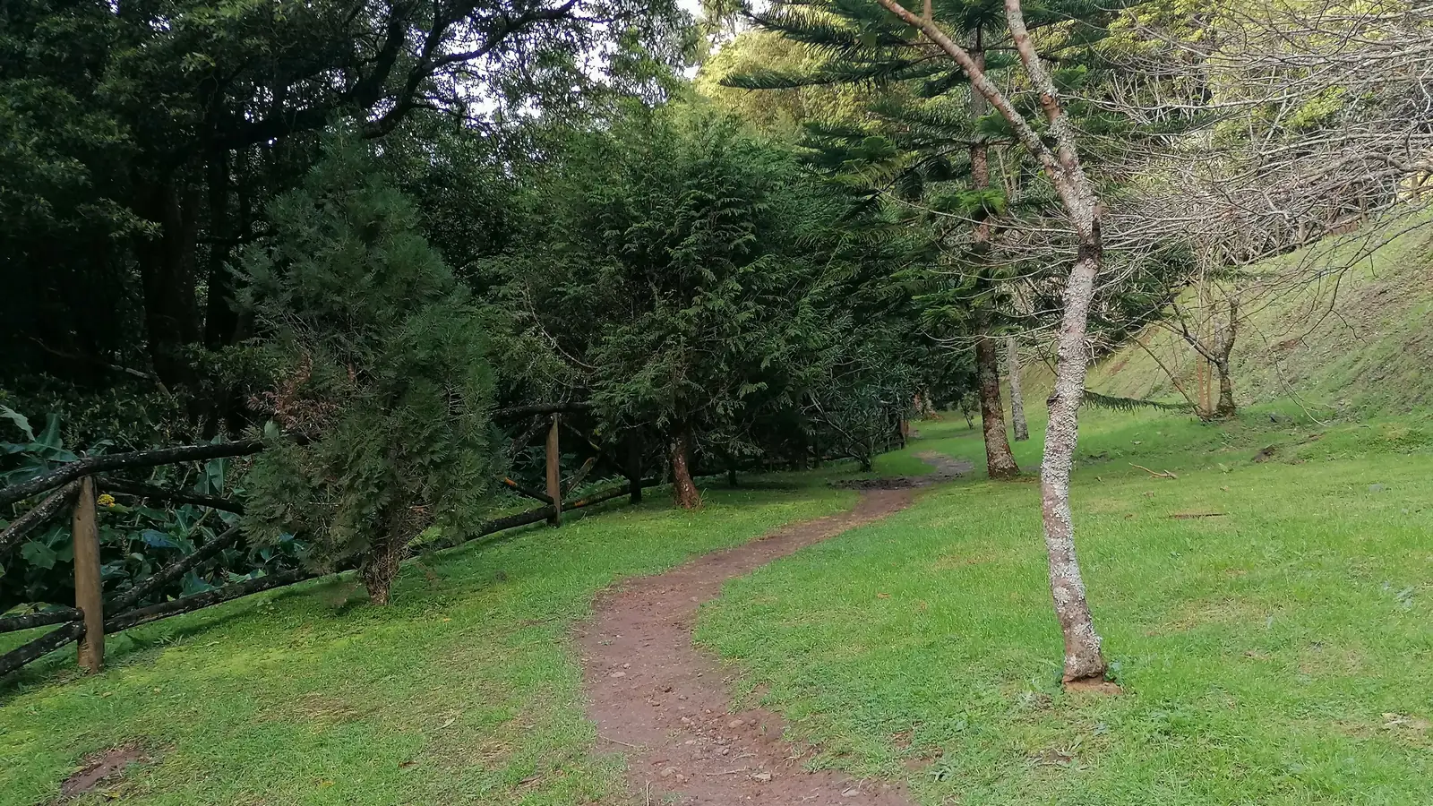Caminho de terra a atravessar um prado, entre uma vedação de madeira e um conjunto de árvores.