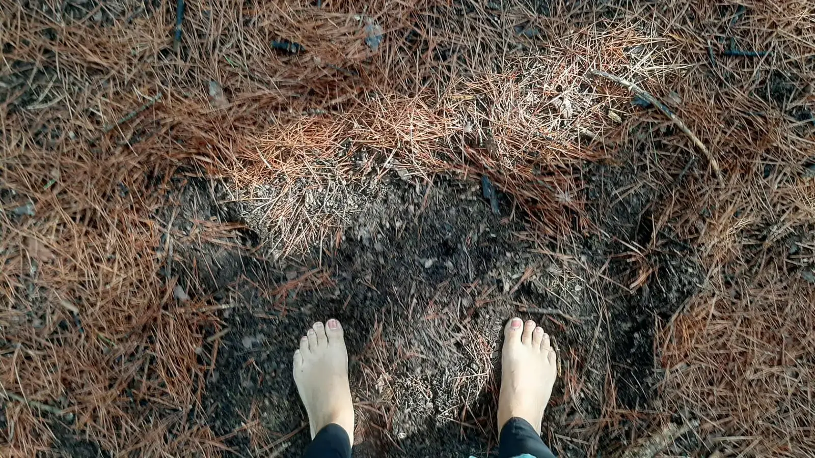 Pés descalços vistos na primeira pessoa, pousados no chão de caruma de um pinhal.