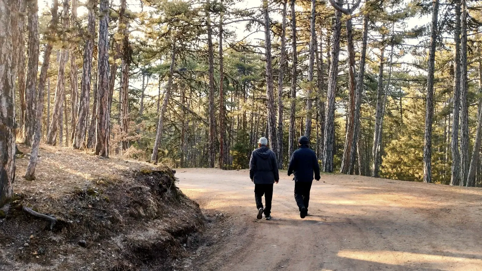 Duas pessoas caminham lado a lado num trilho de floresta, vistas de costas, mantendo espaço entre si.