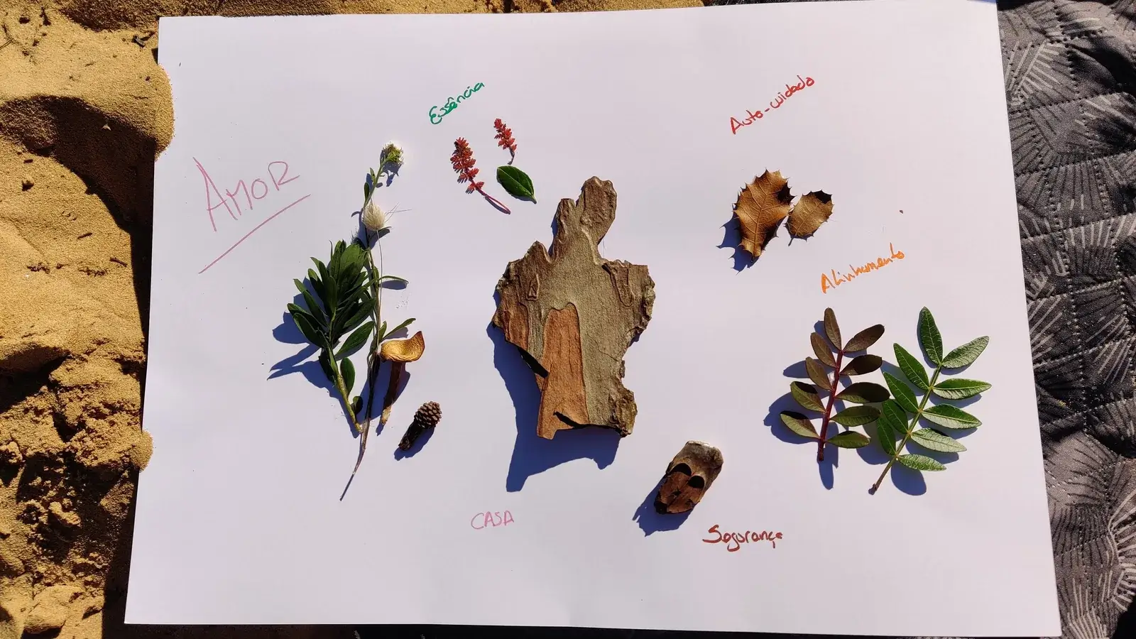 Elementos naturais dispostos numa folha de papel, cada um identificado com uma palavra escrita à mão.