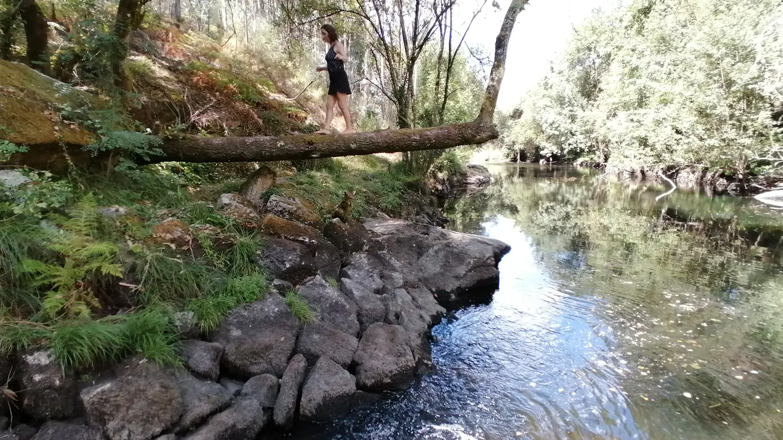 Tronco caído a atravessar um rio, com uma pessoa a passar por cima, entre vegetação e rochas.