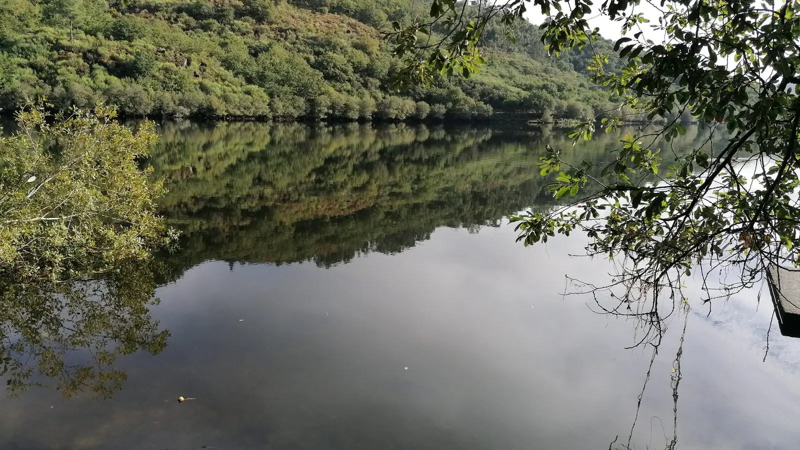 Lagoa calma entre árvores, com a encosta e o céu espelhados na água.